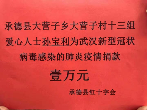 众志成城！承德县爱心人士孙宝利捐款捐物抗击新型冠状病毒感染的肺炎疫情(图2)