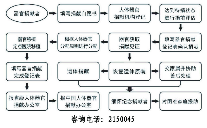 工作流程.jpg